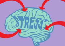 A stressed out brain with arrows pointing towards it.